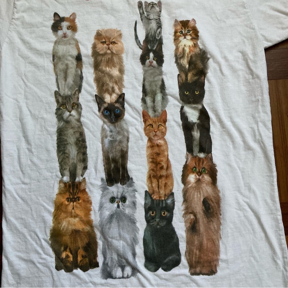 Cat Person Extra Long Graphic T-Shirt Dress Sleepshirt Women’s Large White - Picture 2 of 6